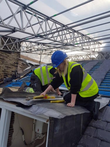 Themis apprenticeship business management