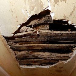 Burnley Town Hall Plaster Repair